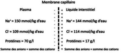Capture d’écran 2023-09-14 à 10.50.33.png