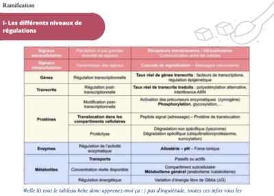 Capture d’écran 2023-09-19 à 09.48.44.png