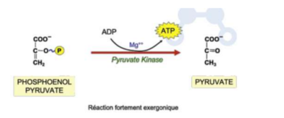 Capture d'écran 2023-09-19 164315.png