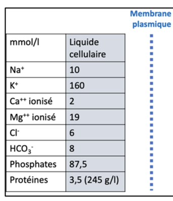 Capture d’écran 2023-09-22 à 10.39.37.png