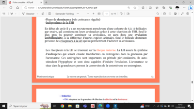 Capture d’écran (6).png