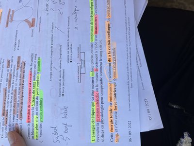 pression arterielle.jpg