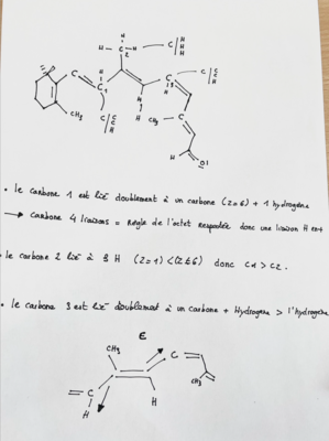Capture d’écran 2023-09-29 à 09.01.22.png