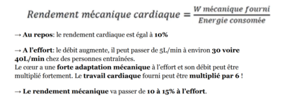 Q°Cardiaque.PNG