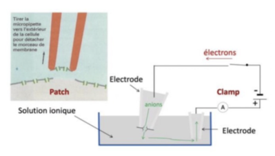 Screenshot 2023-10-01 at 11.15.57.png