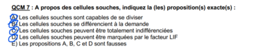 Capture d'écran 2023-10-03 111438.png