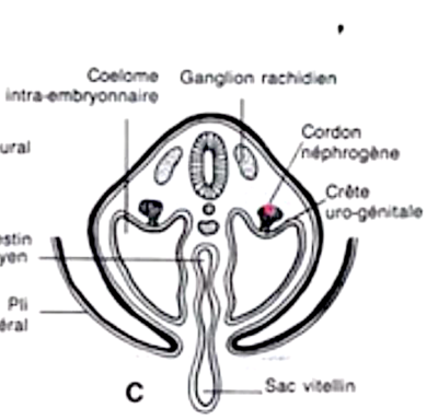 Capture d’écran 2023-10-05 à 14.42.24.png