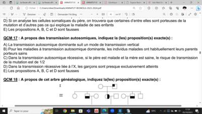 Capture d’écran (11).png
