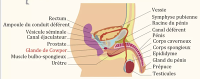 Capture d’écran 2023-10-10 à 10.45.22.png