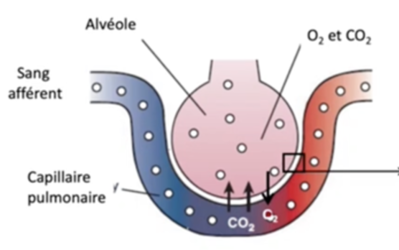 Capture d’écran 2023-10-13 à 08.09.26.png