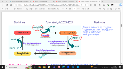 Capture d’écran (18).png