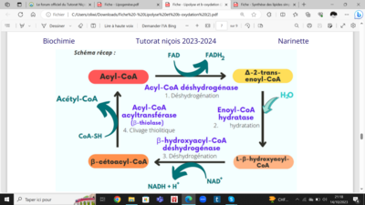 Capture d’écran (20).png