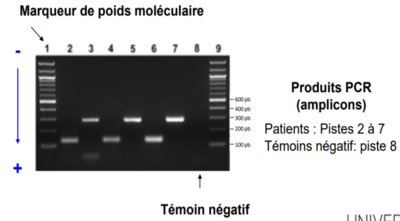 Capture d’écran (434).png