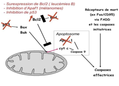 Capture d’écran 2023-10-19 à 15.40.01.png