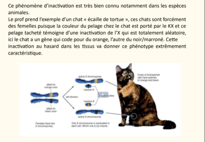 Screenshot 2023-10-21 15.45.23.png