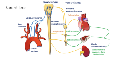 Screenshot 2023-10-22 at 15.36.36.png