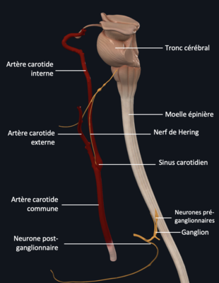 Screenshot 2023-10-14 at 11.25.48.png