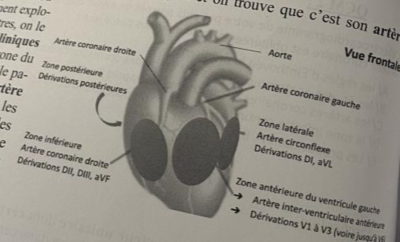 Capture d'écran 2023-10-23 094644.png