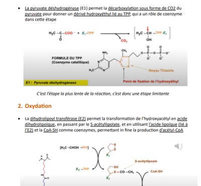 Capture d'écran 2023-10-23 113304.png