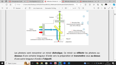 Capture d’écran (24).png