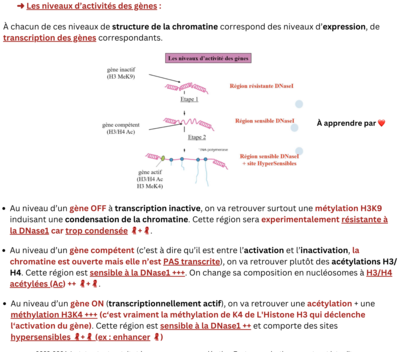 Capture d’écran 2023-10-28 à 23.07.10.png