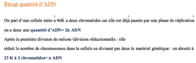 Capture d’écran 2023-10-29 à 11.57.26.png