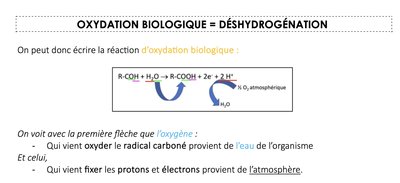 Image 29-10-2023 à 19.06.jpeg