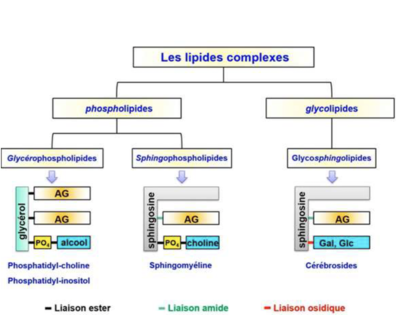 Capture d’écran 2023-10-30 à 10.52.13.png