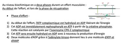 Image 02-11-2023 à 17.06.jpeg
