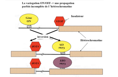 Capture d’écran 2023-11-02 à 21.28.33.png