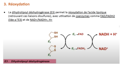 Capture d’écran 2023-11-03 à 17.38.55.png