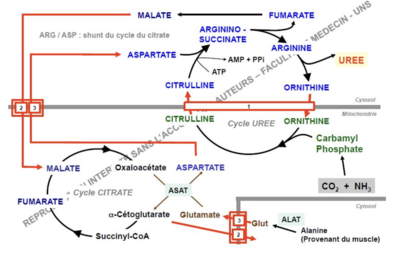 Capture d’écran 2023-11-06 à 11.22.40.png