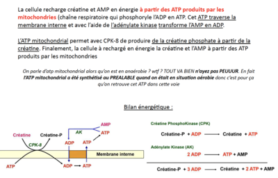 Capture d’écran 2023-11-07 à 16.00.13.png