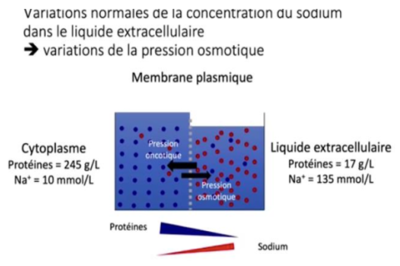 Capture d’écran 2023-11-07 à 16.12.23.png