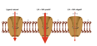 Capture d’écran 2023-11-10 à 16.35.37.png