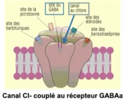 Capture d’écran 2023-08-28 à 18.14.04.png