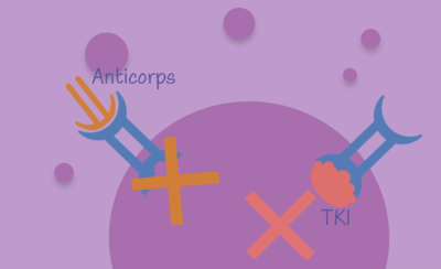 Capture d’écran 2023-11-11 à 17.04.33.png