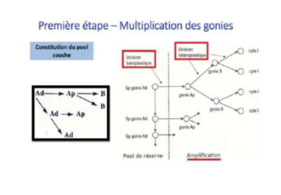 Capture d’écran 2023-11-14 à 09.58.45.png