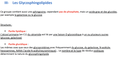 Capture d’écran 2023-11-20 à 08.09.24.png