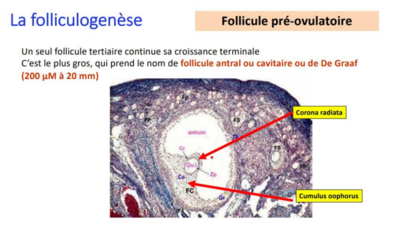 Capture d'écran 2023-11-21 092039.png