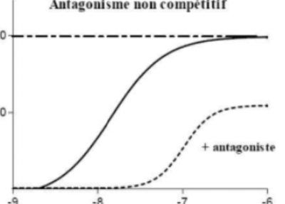 Capture d’écran 2023-11-21 à 09.35.29.png