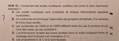 Capture d'écran 2023-11-22 140052.png