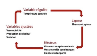 Screenshot 2023-11-23 at 21.47.54.png