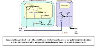 Capture d’écran 2023-11-25 à 09.43.29.png