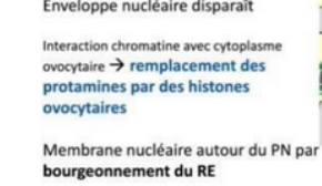 Capture d'écran 2023-11-25 165146.png