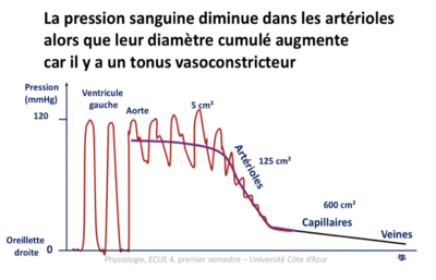 Screenshot 2023-12-02 at 12.04.33.png