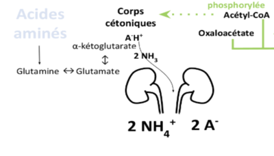 Screenshot 2023-12-03 at 18.17.01.png