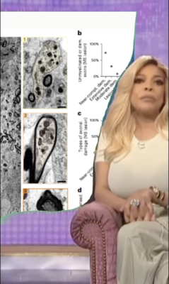 Capture d’écran 2023-12-06 à 14.14.43.png