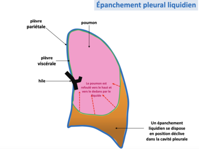 Capture d’écran 2024-01-05 à 23.10.32.png