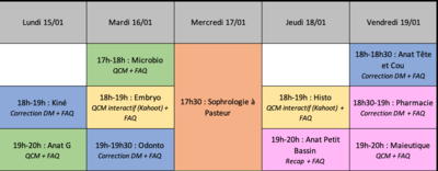 Planning Lives TTR.png